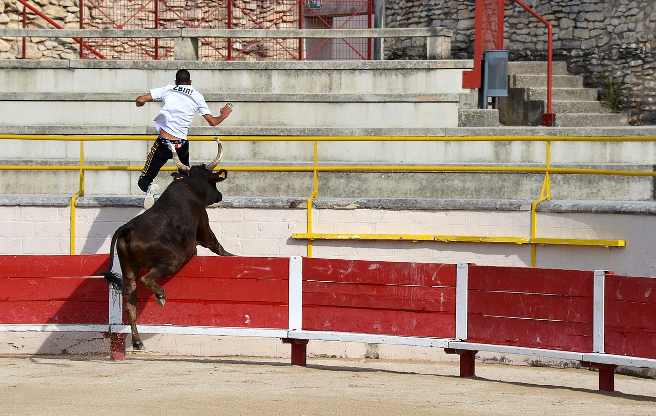 尼克斯的外