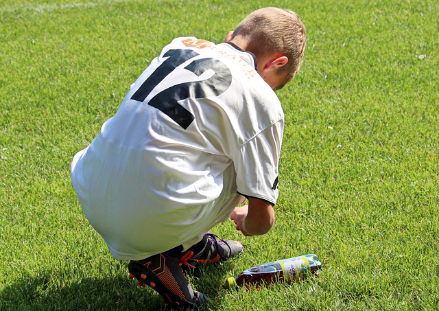 这一现象提 这一现象提