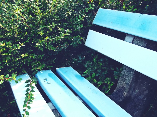 努力谱写曼 努力谱写曼