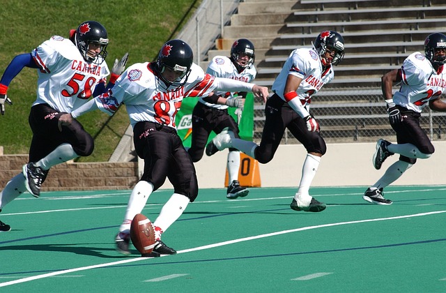 蒙扎VS卡 蒙扎VS卡