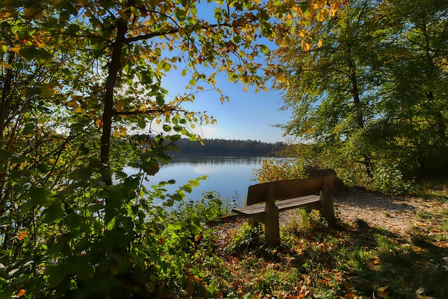 在最后一轮 在最后一轮