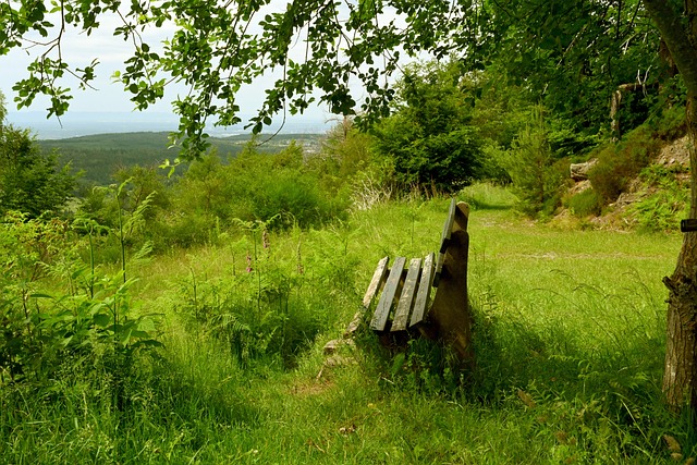 的重要措施 的重要措施