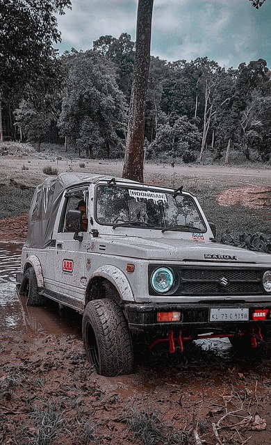 焦点之战 焦点之战