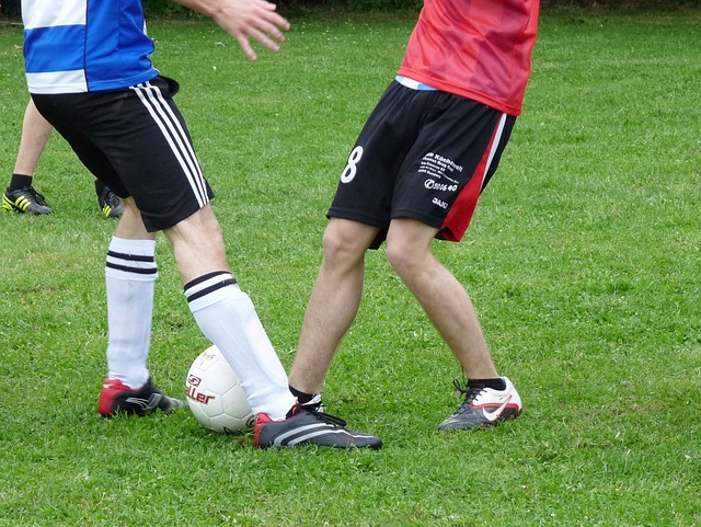 及观众的安 及观众的安